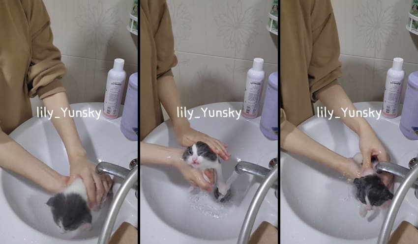 KA24060924_lily_yunsky-6_sexkbj