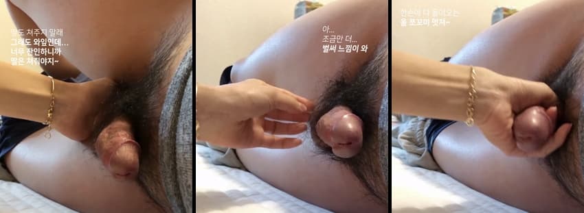 KA25022124_개돼지DNA-01_sexkbj