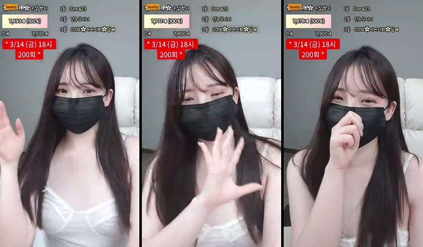 KBJ25031005_akasihwa_sexkbj