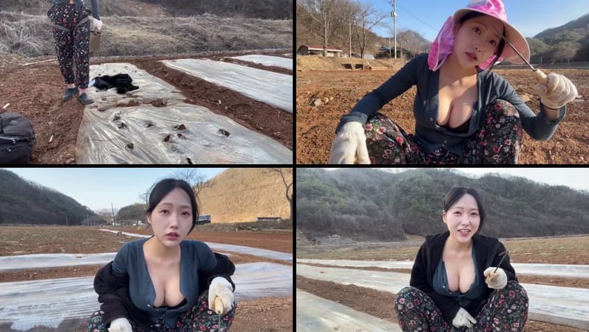KA25032719_숲_2025.03.13_오늘자_마늘밭_매는_아낙네_연화-2_sexkbj