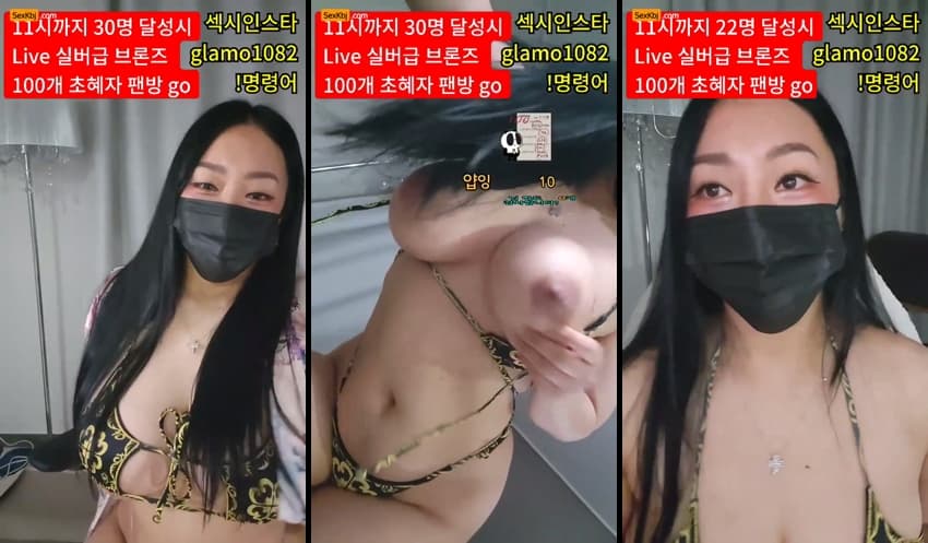 KBJ25031133_lineage282_sexkbj