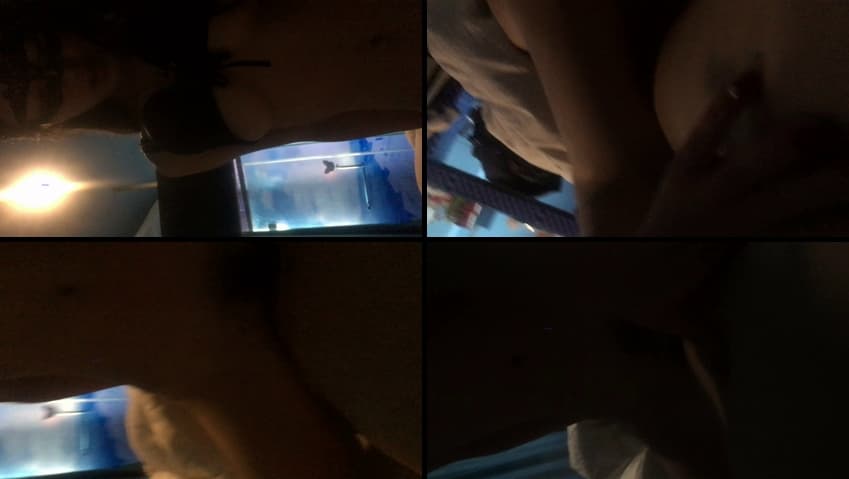 KA25041304_chn25040210-10_sexkbj