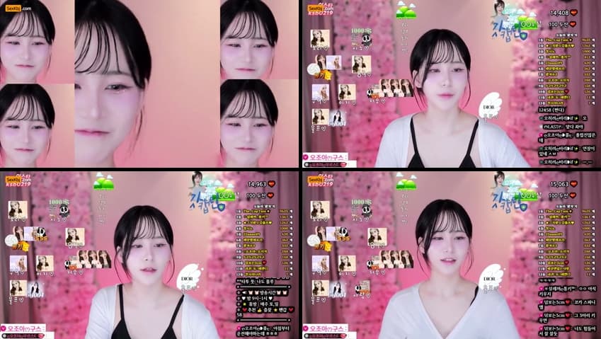 KBJ25040825_ksb0219_sexkbj