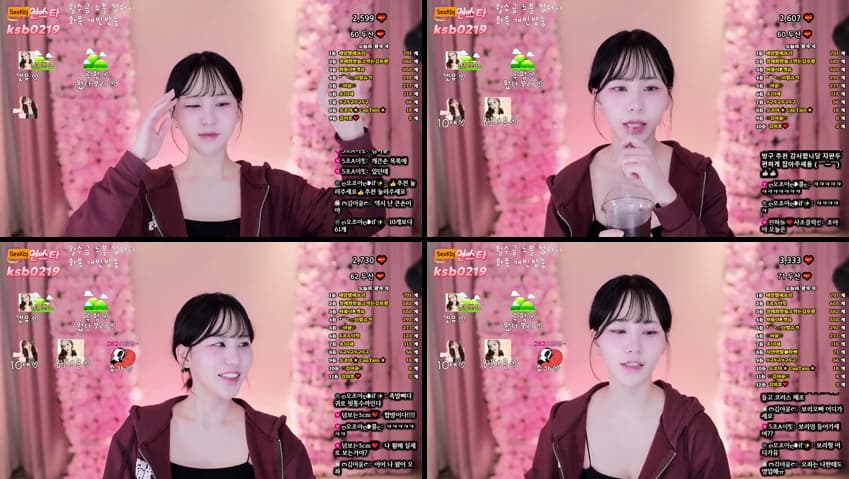 KBJ25041833_ksb0219_sexkbj