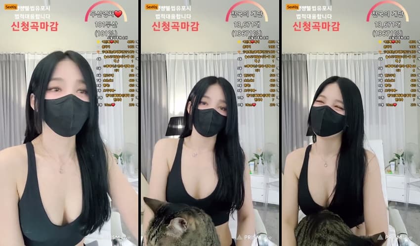 KBJ25052442_shsh1908_sexkbj