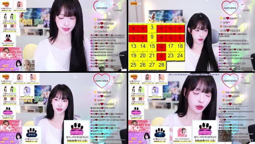 KBJ25050847_pocet11_sexkbj