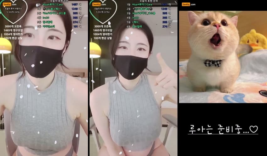 KBJ25053110_bboever2865_sexkbj