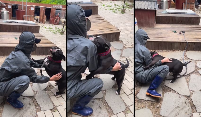 KA25062636_헬스트레이너출신_한별쌤_라이키_인스타_유튜브_출연-29_sexkbj