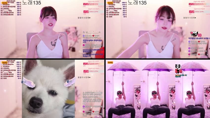 KBJ25062442_qkeksms3_sexkbj