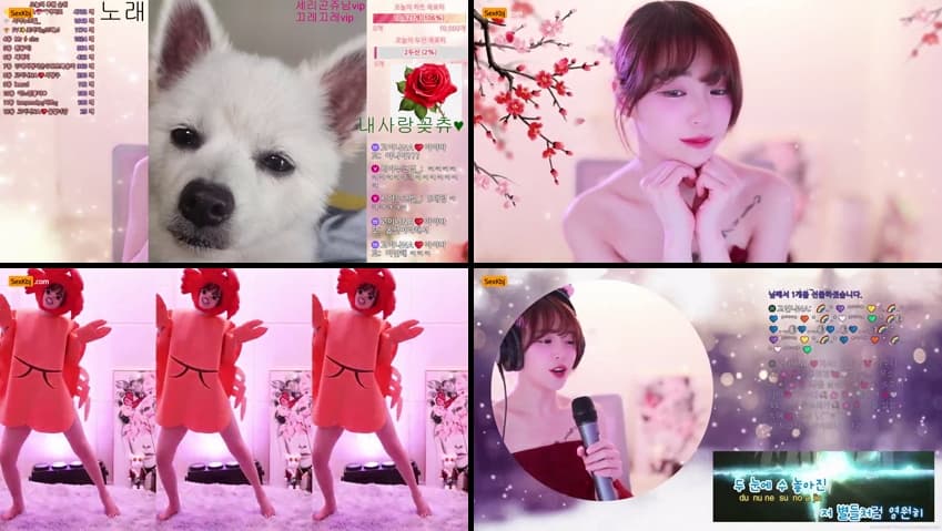 KBJ25061649_qkeksms3_sexkbj