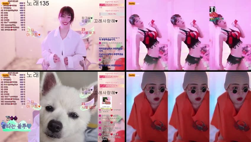 KBJ25061964_qkeksms3_sexkbj