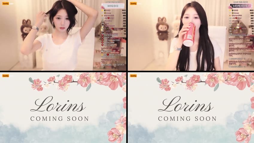 KBJ25072222_lorins2002_sexkbj