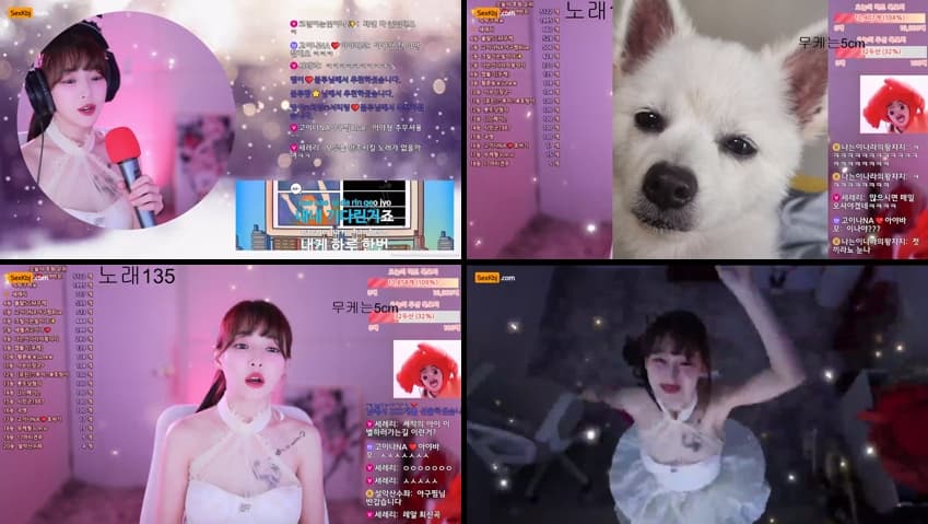 KBJ25071740_qkeksms3_sexkbj