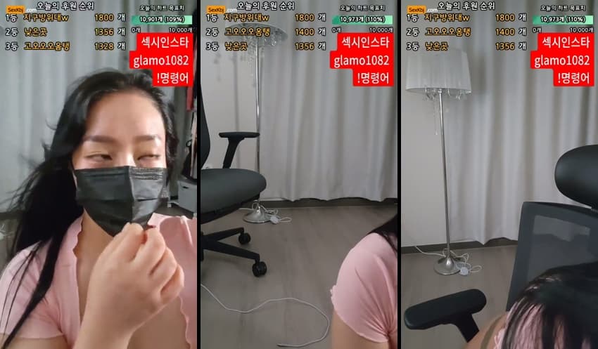 KBJ25082221_lineage282_sexkbj