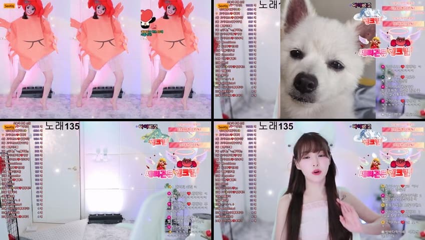 KBJ25081036_qkeksms3_sexkbj