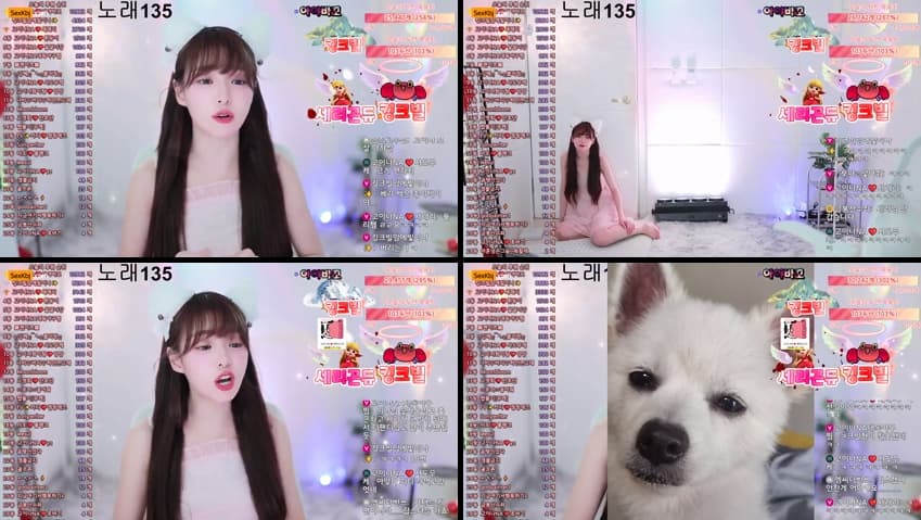 KBJ25081037_qkeksms3_sexkbj