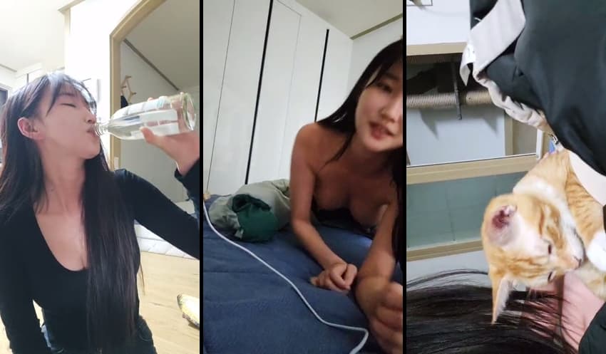 KA25080543_햄이_인스타라방_올노출_자위_sexkbj