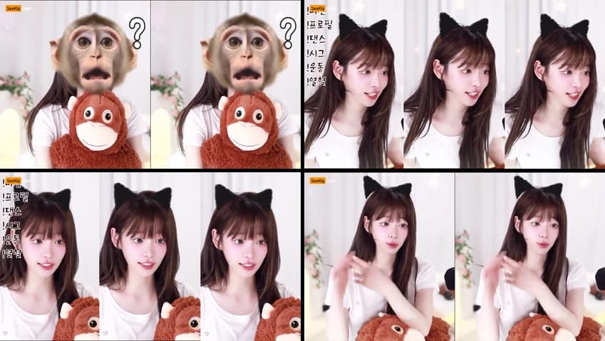 KBJ25092223_podo0311_sexkbj