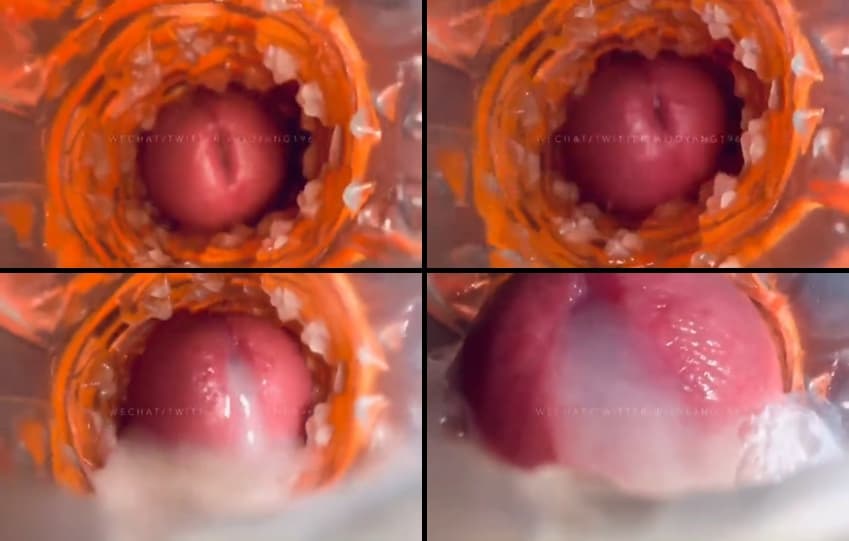 KA25091324_chn25091409_sexkbj