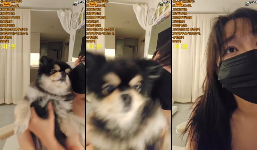 KBJ25091641_mat1004_sexkbj