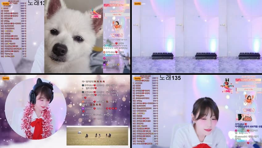 KBJ25090646_qkeksms3_sexkbj