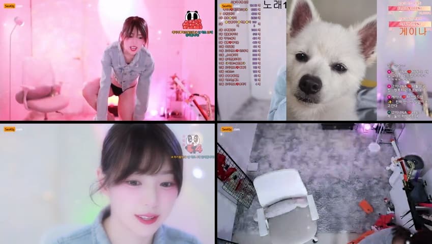 KBJ25100738_qkeksms3_sexkbj