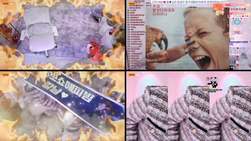 KBJ25111621_qkeksms3(BJ고이나NA)_sexkbj