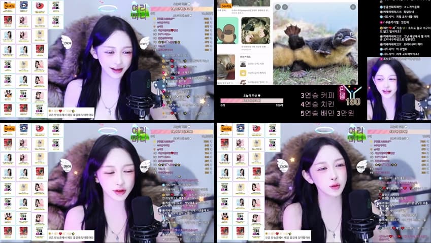 KBJ25121555_victoriass(BJ제인)_sexkbj