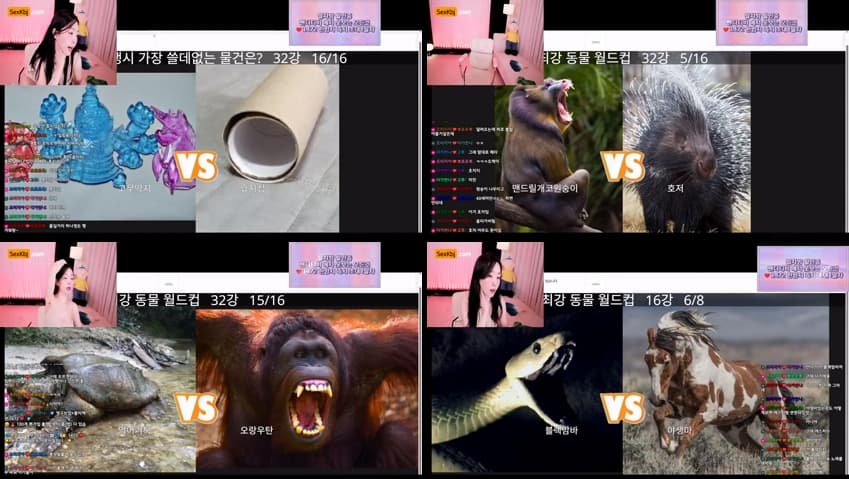 KBJ26010711_freezia(BJ프리지아)_sexkbj