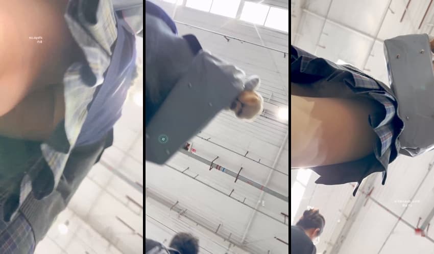 KA26011022_chn26011012-1_sexkbj