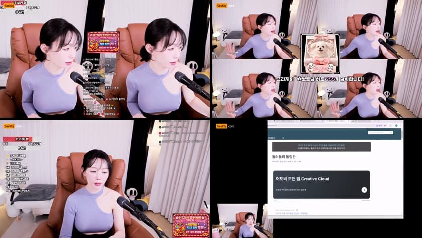 KBJ26040712_freezia(BJ프리지아)_sexkbj