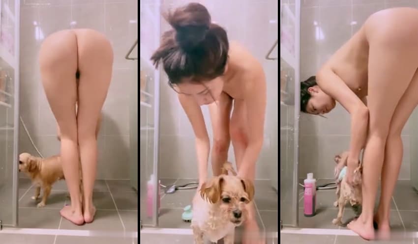 KA26040620_남자의_시선_제나_애견목욕_sexkbj