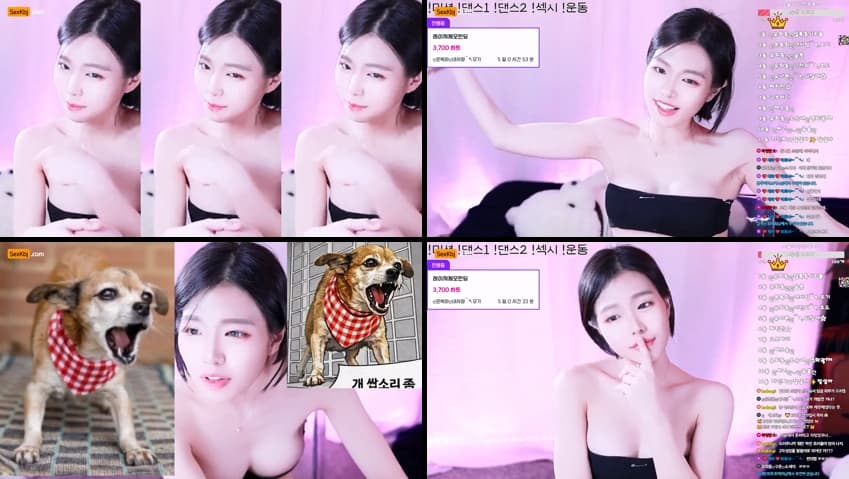 KBJ26041046_spa14020(BJ유희동)_sexkbj