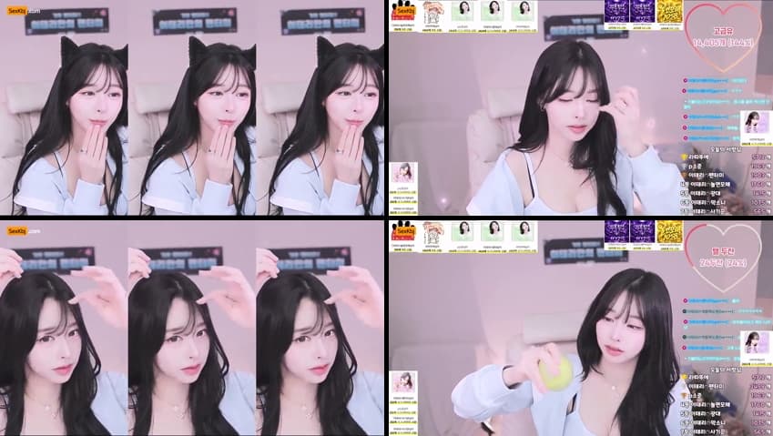 KBJ26060435_naras2(BJ이태리)_sexkbj